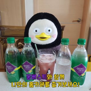 몽베스트 Montbest with Sparkling water Lemon OR Lime 20병(랜덤) — 5점을 준 리뷰어가 2022년 8월 올린 사용 사진
