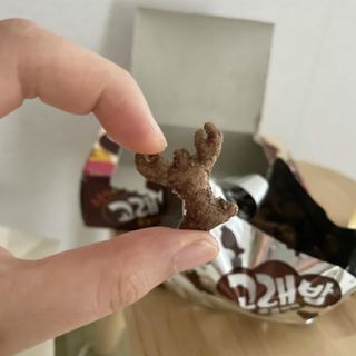 쿼카스파니엘님이 올린 리뷰 사진 1