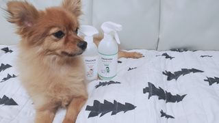 민성맘님이 올린 리뷰 사진 2