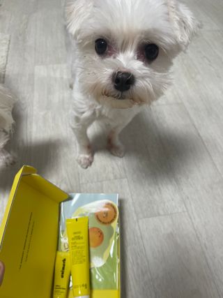 대바기님이 올린 리뷰 사진 1