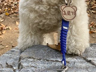 용용맹님이 올린 리뷰 사진 2