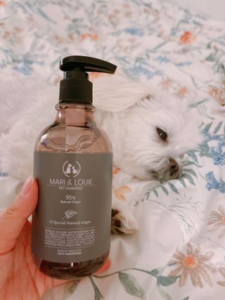 마리앤루이펫샴푸 [mari and louie pet shampoo] — 4점을 준 리뷰어가 2021년 5월 올린 사용 사진