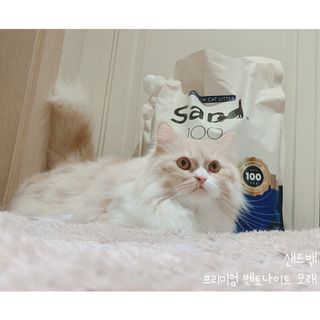 똥비님이 올린 리뷰 사진 2
