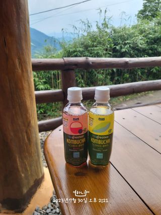 더그레잇티 콤부차 [매일유업] 더그레잇티 44kcal 콤부차 300ml *12개입 (오리지널 6개+베리리치 6개) — 5점을 준 리뷰어가 2023년 8월 올린 사용 사진