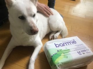 스쿰비님이 올린 리뷰 사진 1