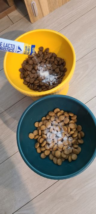 씨디랩 구강에서 장까지 한 번에 관리하는 더블락토 강아지 고양이 유산균 — 5점을 준 리뷰어가 2021년 6월 올린 사용 사진