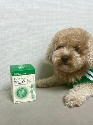 블리뚜님이 올린 리뷰 사진 4