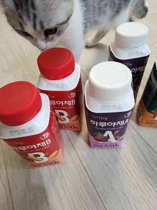 날씬이클디님이 올린 리뷰 사진 2