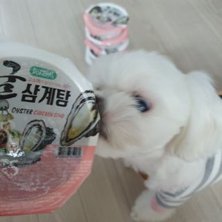 hosu.1230님이 올린 리뷰 사진 4
