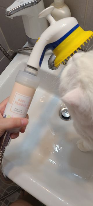 논지님이 올린 리뷰 사진 4