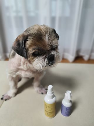 민우다빈이맘님이 올린 리뷰 사진 3
