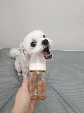 뽀야님이 올린 리뷰 사진 2