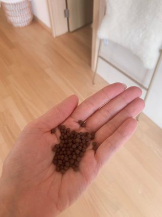 똥기사의 케이푸드 화이버슬림 — 5점을 준 리뷰어가 2021년 2월 올린 사용 사진
