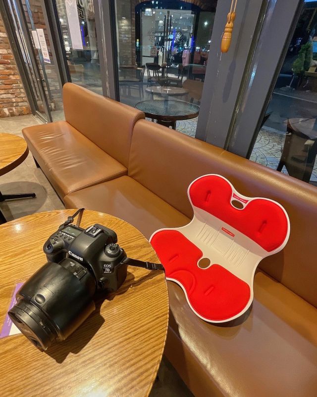 로이첸 체어 바른 자세교정 허리교정의자 좌식의자 리뷰 사진