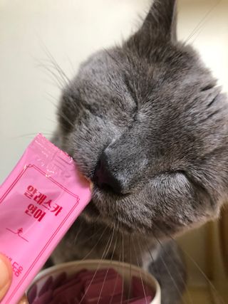냥냥이님이 올린 리뷰 사진 3