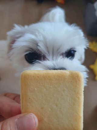 뽀오오옹님이 올린 리뷰 사진 1