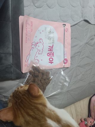 My Pet Care 천연단백질 관절건강에 개좋아 — 5점을 준 리뷰어가 2021년 3월 올린 사용 사진