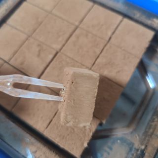 연말/새해선물 요즘 트렌드 오트밀크 생초콜릿 호불호 없는 카카올라 Bast 밀크생초콜릿 — 5점을 준 리뷰어가 2021년 10월 올린 사용 사진