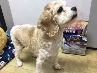 하늘이네님이 올린 리뷰 사진 1