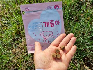 My Pet Care 천연단백질 관절건강에 개좋아 — 5점을 준 리뷰어가 2021년 3월 올린 사용 사진