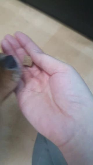 heea님이 올린 리뷰 사진 4