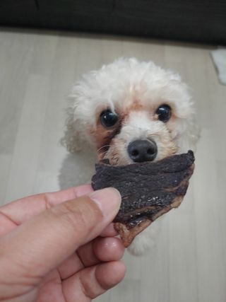 햇님달님님이 올린 리뷰 사진 1