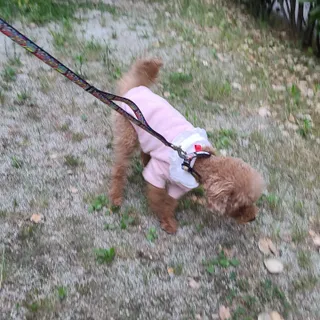 랭쑤님이 올린 리뷰 사진 3