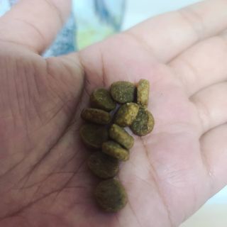 닝닝닝닝닝님이 올린 리뷰 사진 4