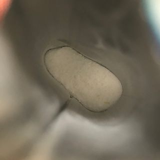 서울약사신협_프로바이오생유산균_2.5G x 100포 — 5점을 준 리뷰어가 2021년 2월 올린 사용 사진