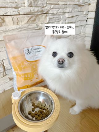 캐닌캐비어 알카라인 홀리스틱 그레이프리 앙뜨레 ALS_4종 오픈스카이, 와일드오션, 프리스피릿, 스페셜니즈 — 5점을 준 리뷰어가 2023년 2월 올린 사용 사진