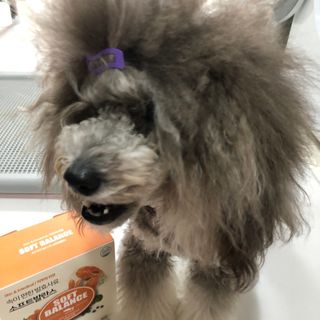 十二夜님이 올린 리뷰 사진 4