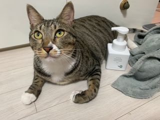 보리님이 올린 리뷰 사진 3