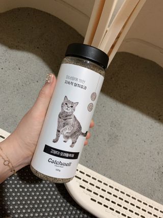 오둥이맘님이 올린 리뷰 사진 2