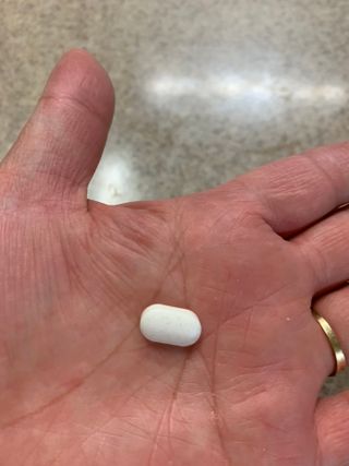 뉴트리션팩토리 비타프렙 바이탈디 비타민D 500mg — 5점을 준 리뷰어가 2021년 10월 올린 사용 사진