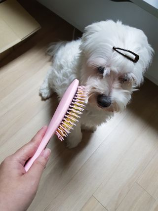 곽현정님이 올린 리뷰 사진 2