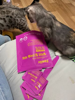 김지혜님이 올린 리뷰 사진 2