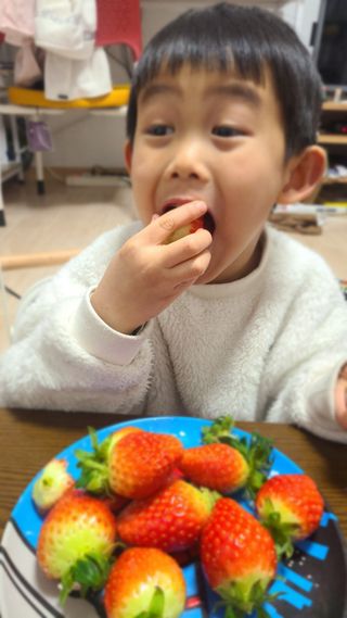 옳음 딸기 논산 설향 딸기 900g 산지직송 — 5점을 준 리뷰어가 2021년 1월 올린 사용 사진