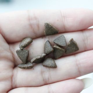[푸디웜] 라포그  리얼인섹트 웨이트밸런스 저알러지 강아지 사료  1.2KG — 5점을 준 리뷰어가 2022년 6월 올린 사용 사진