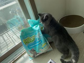 sehee님이 올린 리뷰 사진 2