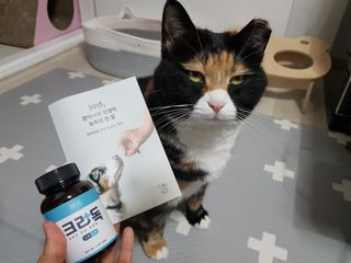 솔탄이love님이 올린 리뷰 사진 4