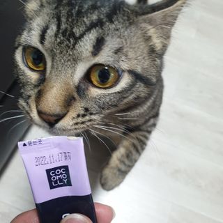코코몰리 고양이 구강• 헤어볼 데일리 /신장• 요로 데일리 — 5점을 준 리뷰어가 2021년 1월 올린 사용 사진