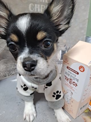 My Pet Care 모발과 모질 피부건강에 개좋아 — 5점을 준 리뷰어가 2021년 3월 올린 사용 사진