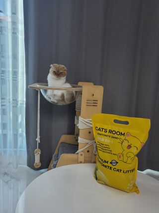 겟플렉스 켓플렉스 캣츠룸BS-1 고양이모래 4kg — 5점을 준 리뷰어가 2021년 1월 올린 사용 사진
