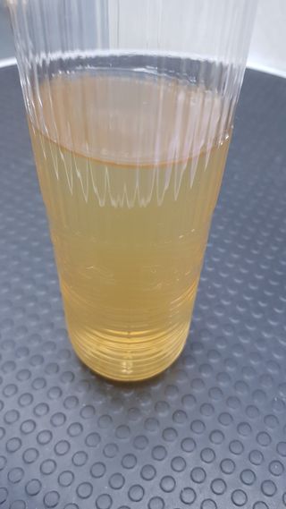참앤들황토농원 7가지 맛! 탄산 톡톡! 스파클링! 데이앤 콤부차 7종 10포 1박스씩 ★총 7박스★ — 5점을 준 리뷰어가 2023년 2월 올린 사용 사진