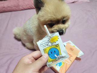 꼬마마녀와꼬망마님이 올린 리뷰 사진 1