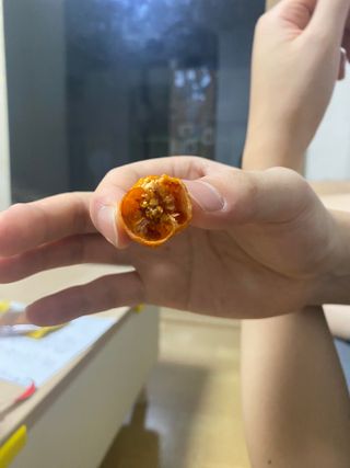 예빈블로그님이 올린 리뷰 사진 3