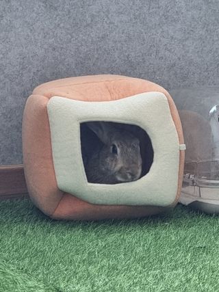 Lucy님이 올린 리뷰 사진 2