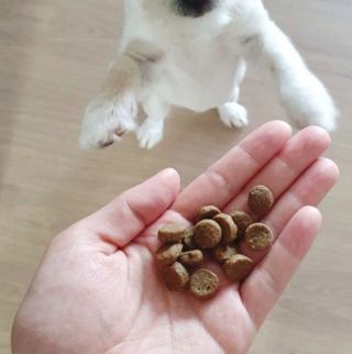 희야님이 올린 리뷰 사진 3