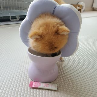 🌷 킴블리 🌷님이 올린 리뷰 사진 3