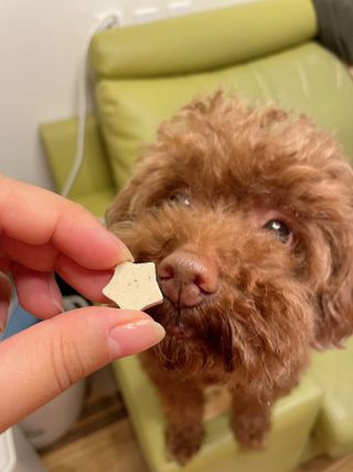 바이미르님이 올린 리뷰 사진 1